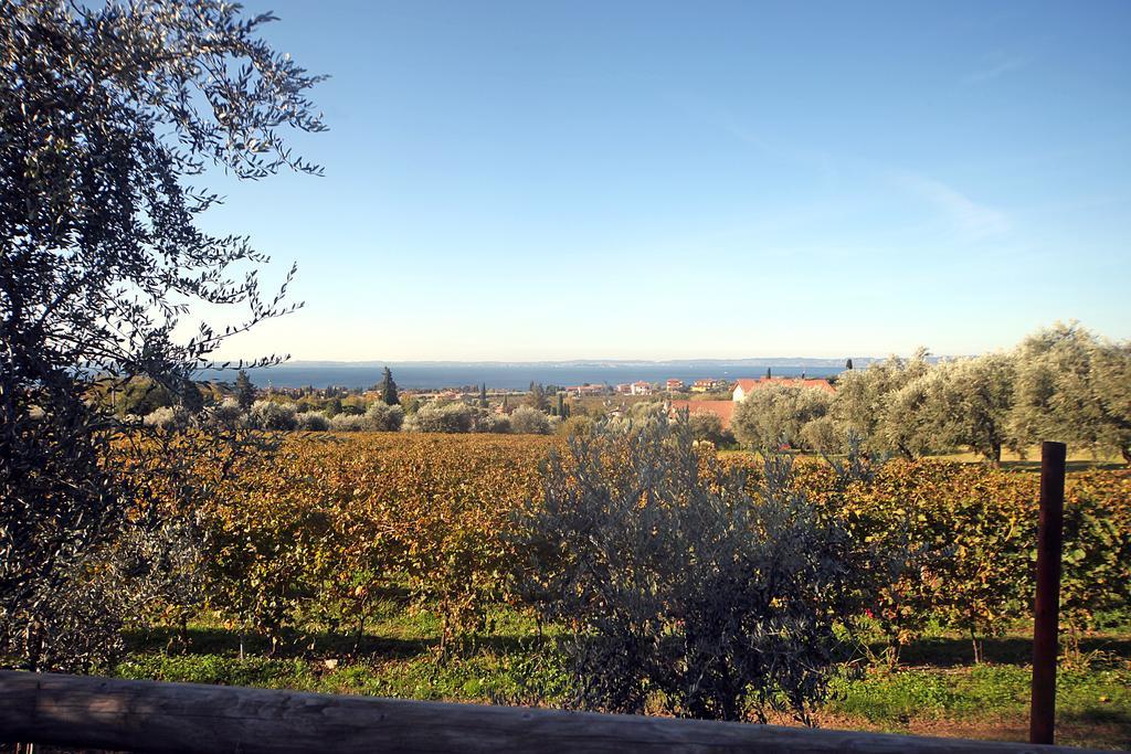 Appartamenti Bellavista Bardolino Dış mekan fotoğraf